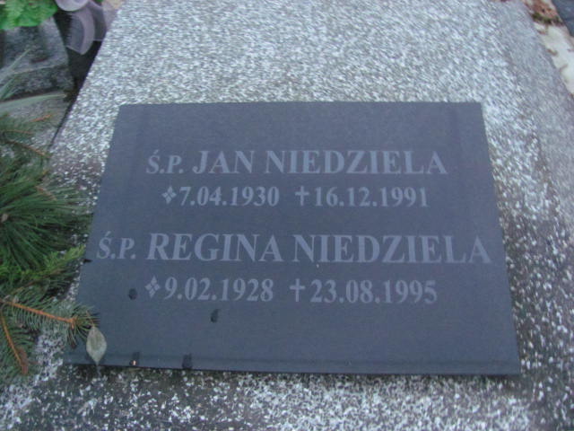 Jan Niedziela 1930 Nowe Skalmierzyce - Grobonet - Wyszukiwarka osób pochowanych